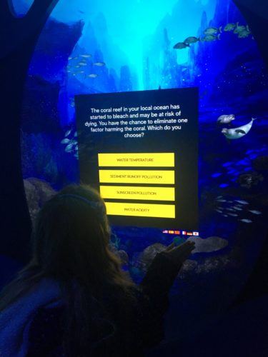 taking a quizz at the national geographic ocean encounter