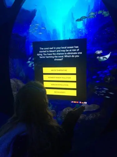 taking a quizz at the national geographic ocean encounter