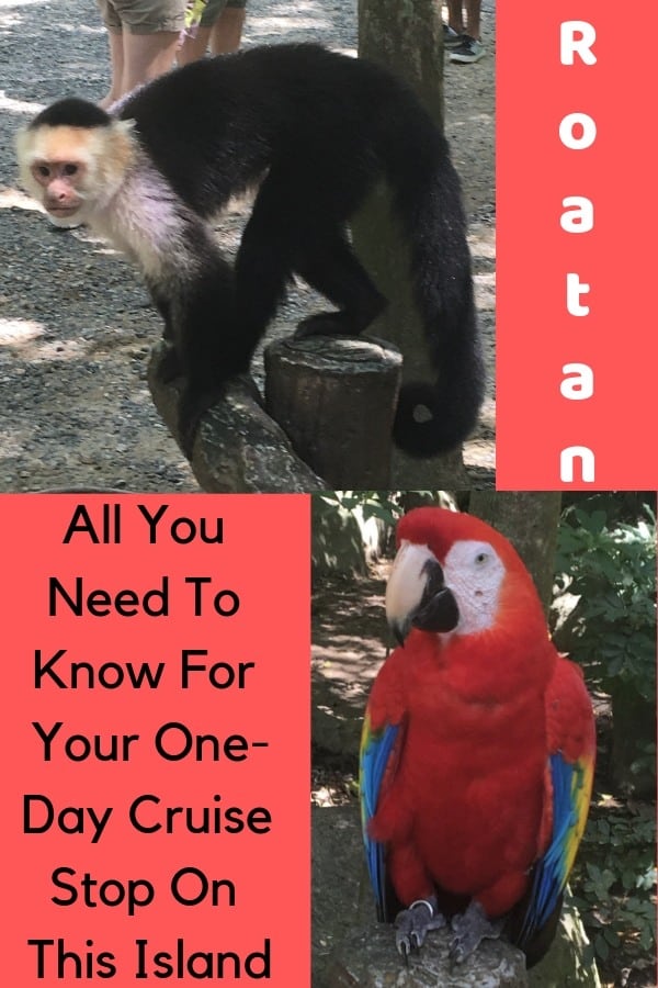 Roatan honduras has great scuba diving and snorkleling along its reef, clear water, pretty beaches, animal preserves and adventure sports. Here is what to do with kids and teens  on a cruise port day, and what you need to know about the port and the island.