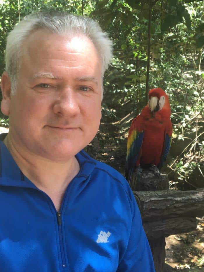 parrots at gumbalimba park