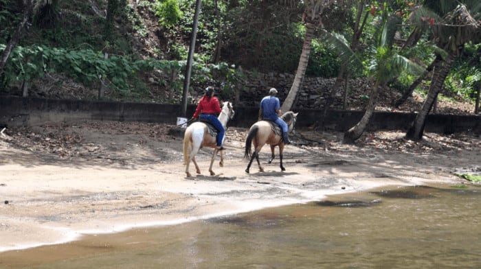 horseback riding on a roatán beach