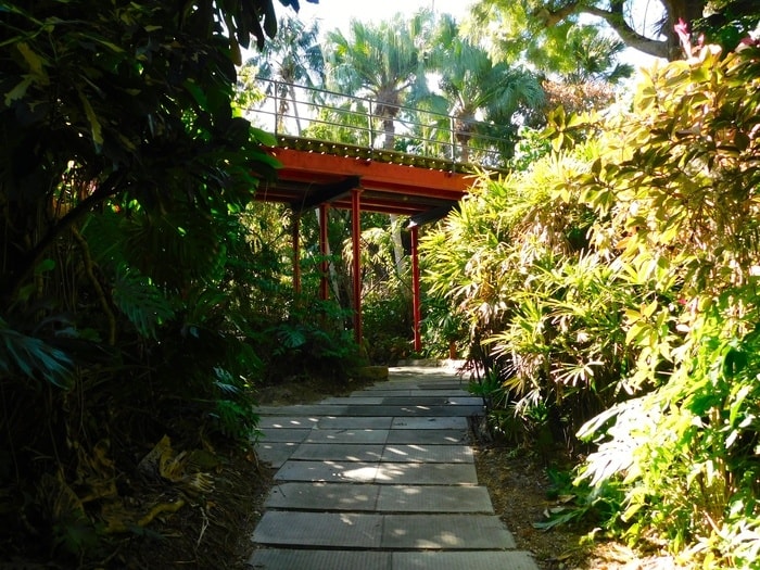 Fort hamilton's jungle-like moat