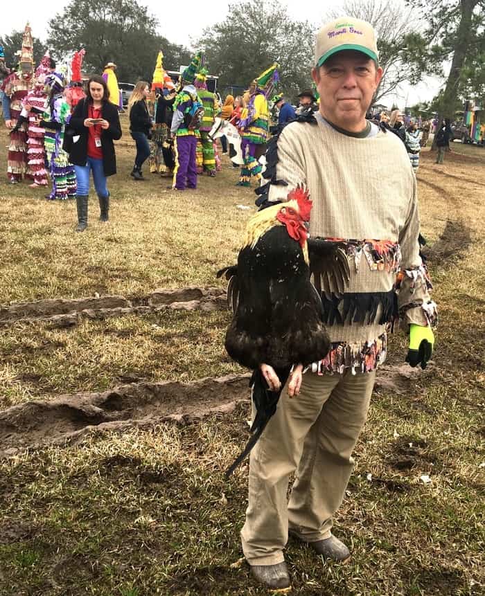 The courir du mardi gras involves chasing chickens