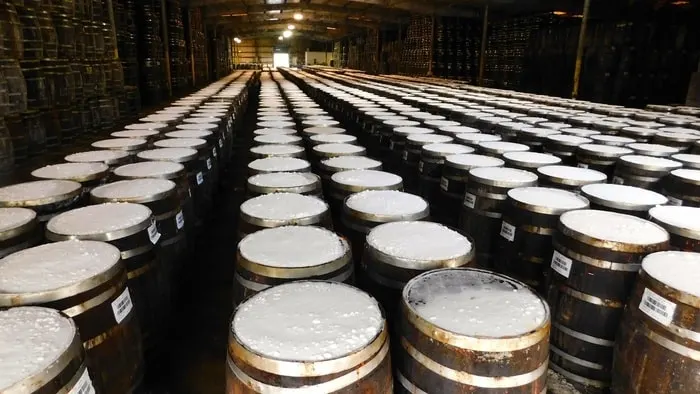 Mardi Gras &Amp; Other Adventures For Families In Lafayette La Peppers aging in salt-filled barrels on avery island, louisiana for tabasco sauce.