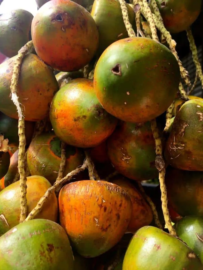 costa rican fruit