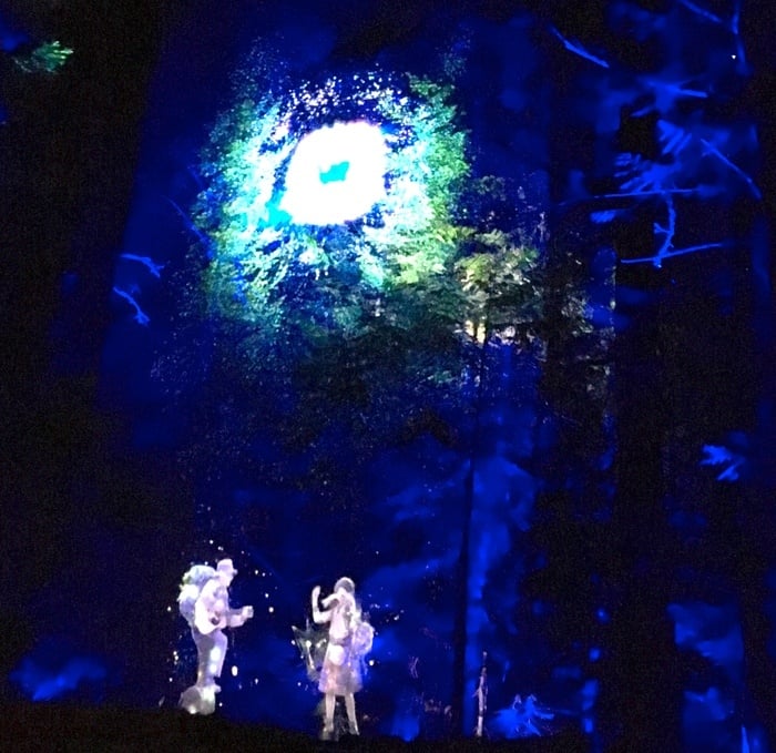 The vallea lumina special effects are magical