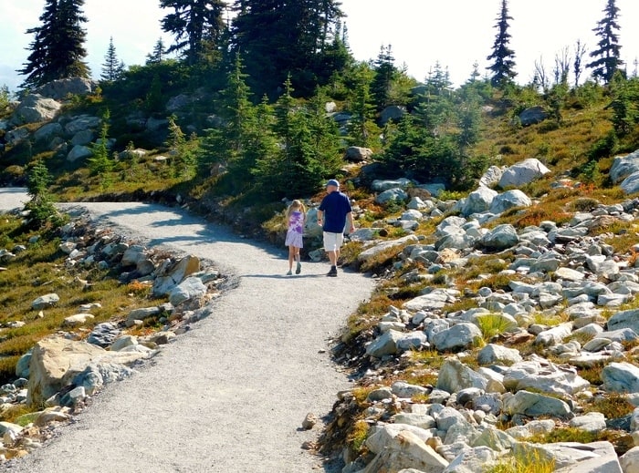 The top of whistler mountain has some easy hiking trails