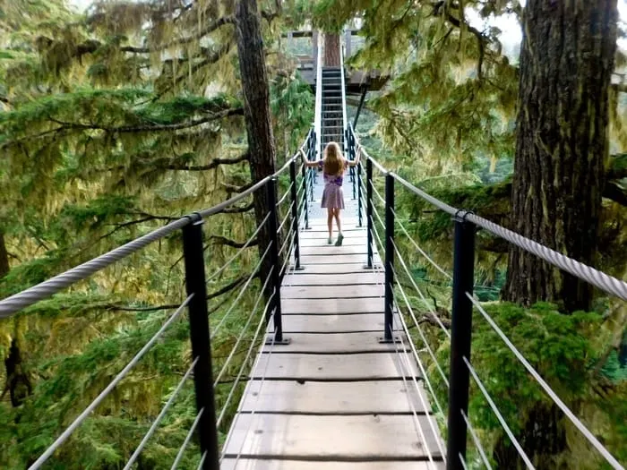 the not scary treetop trek from ziptrek