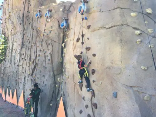 climbing the wall at lost forest alpine adventure park