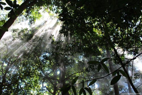 the costa rica cloud forest is beautiful but look out for mosquitos!!