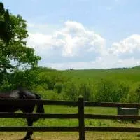 A view of Shenandoah Valley vineyards from North Mountain Outfitters