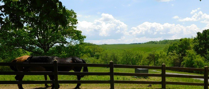 Plan A Town & Country Romantic Weekend In Staunton, VA