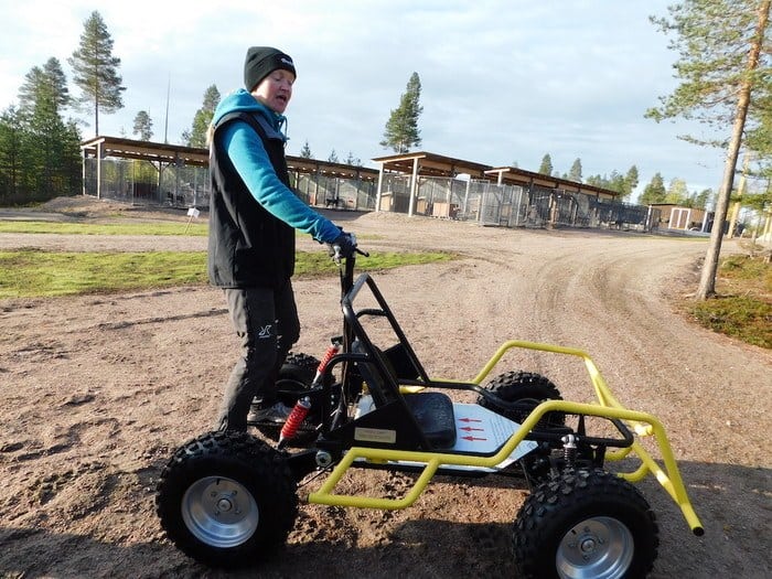This is how laplanders go dogsledding when there's no snow.