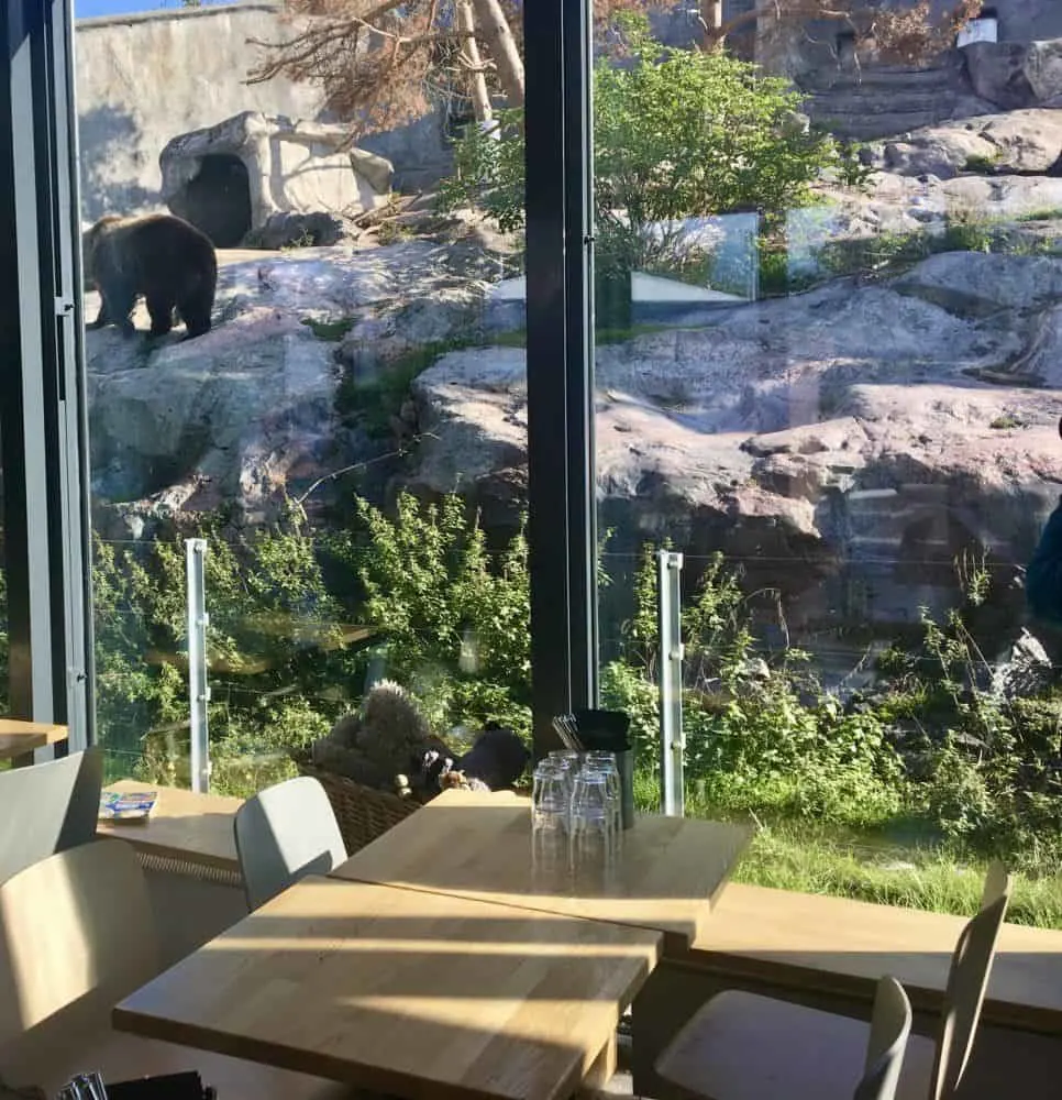 view of the bears from the bear cafe at korkesaari zoo.