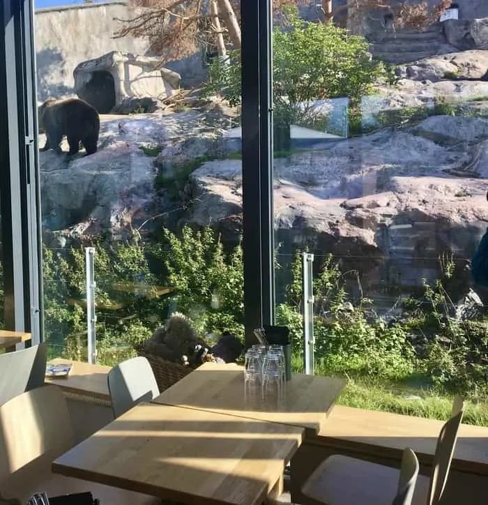 View of the bears from the bear cafe at korkesaari zoo.