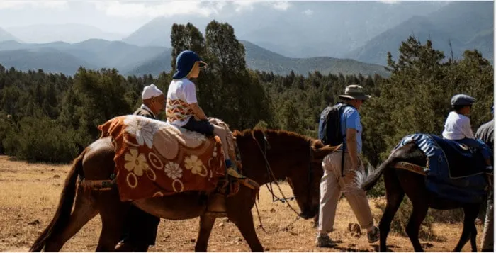 kids ride horses on a morocco trip with explore worldwide.