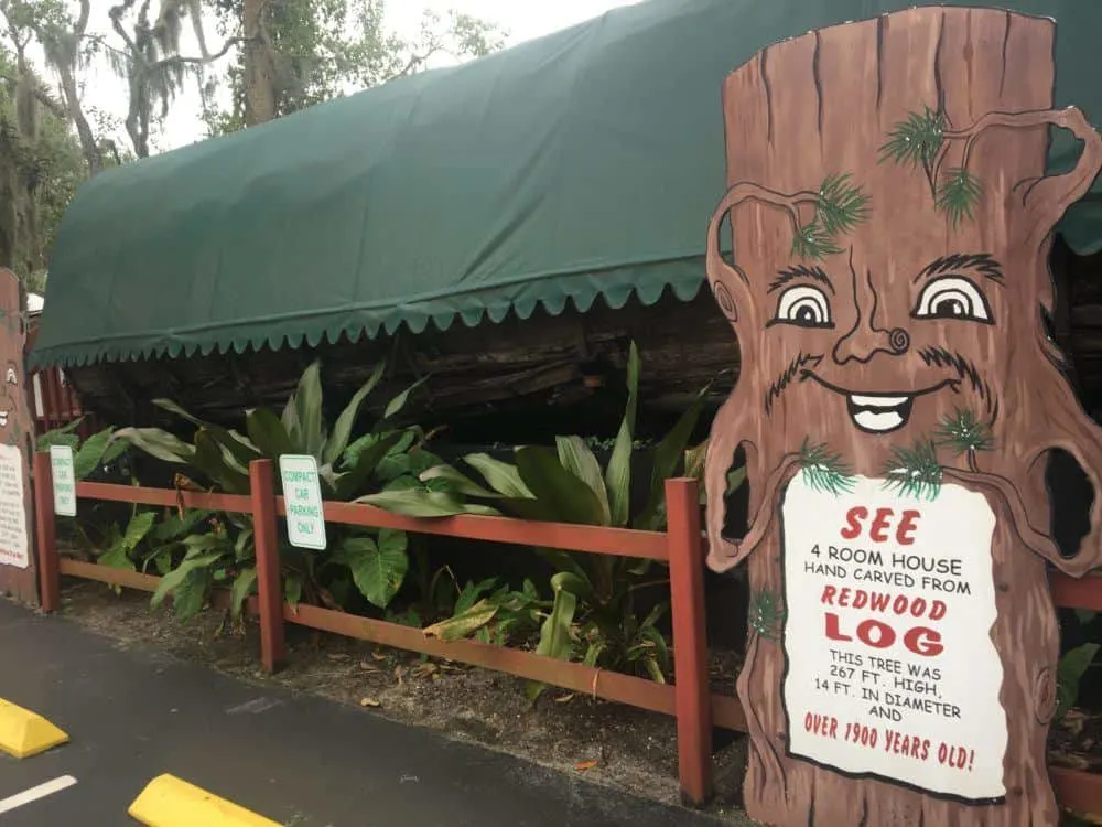 a house built out of a giant tree trunk at the ripley's odditorium