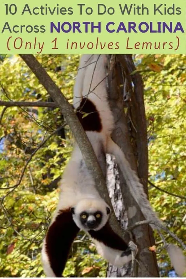 North Carolina Family Bucket List Planning a north carolina vacation with kids? Here are 10 cool and unique things to do across the state including raleigh, charlotte and asheville. #northcarolina #vacation #thingstodo #kids #inspiration