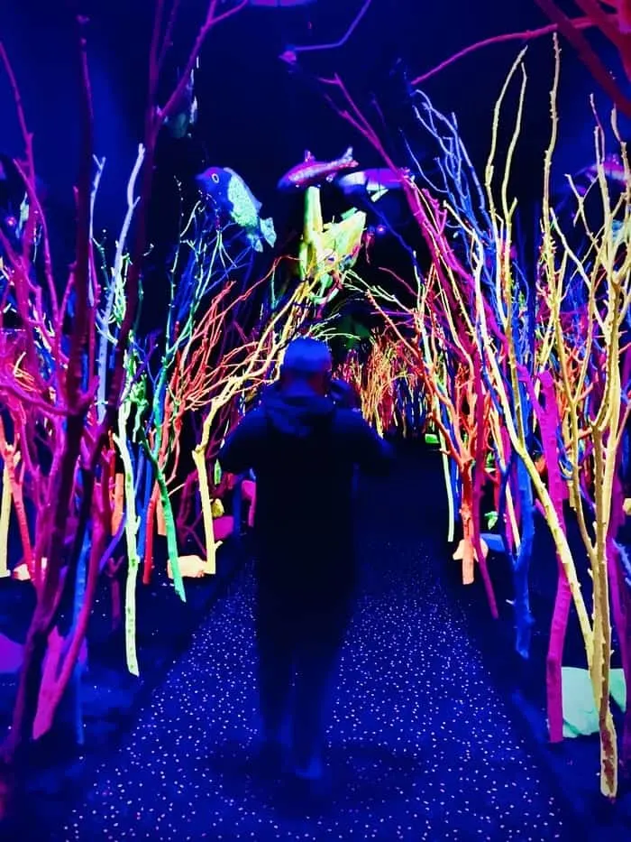 fun with lights at meowwolf