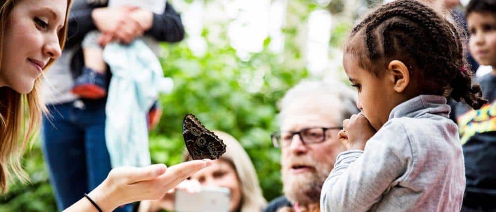 kids and adults get a close-up look at butterflies at the peggy notabaert nature museum.