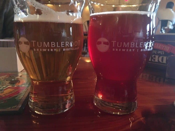 tumbleroot ipa and honey hiibiscus beer.