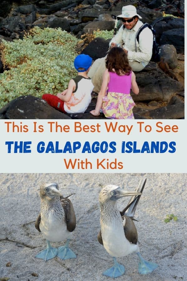 Galapagos pin2