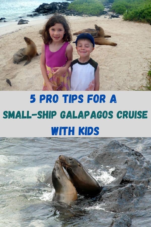 Galapagospin