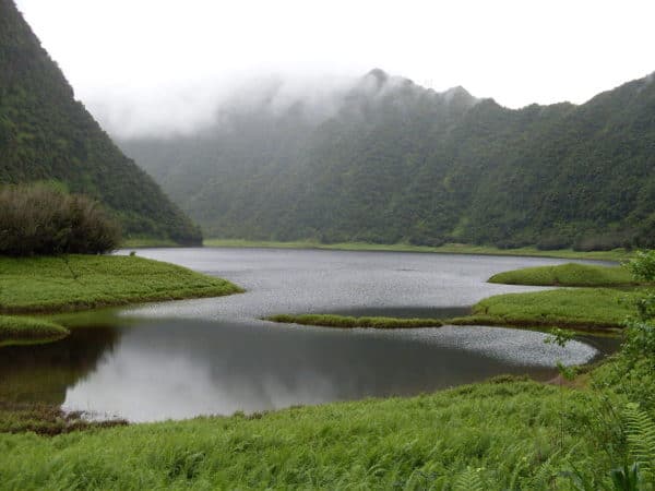 the hidden lake in a green valley in grand etang national park, grenada