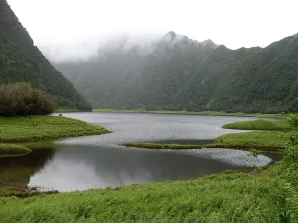 The Best Things To Do With Kids On 7 Caribbean Islands the hidden lake in a green valley in grand etang national park, grenada