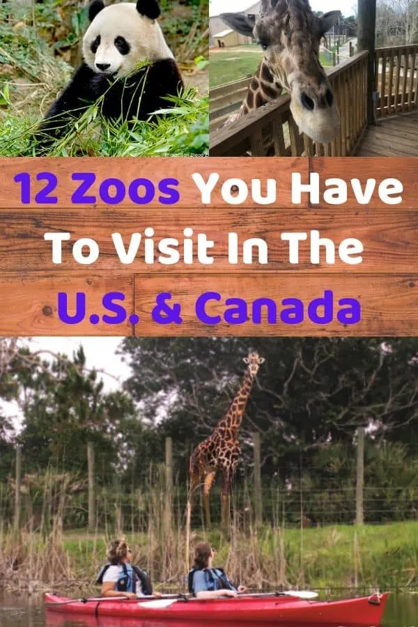 planning a trip to the zoo? these u.s. and canada zoos have the best animals, programs and educational opportunities. #kids #zoos #tips #bucketlist
