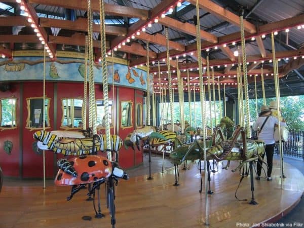 this bronx zoo carousel lets you ride on enormous colorfful bugs including a ladybug and caterpiller