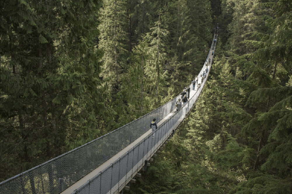 the capilano bridge is an easy outdoor adventure for families to do when they visit vancouver.