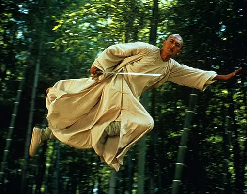 the bamboo forest fight scene is the reason people watch crouching tiger hidden dragon.