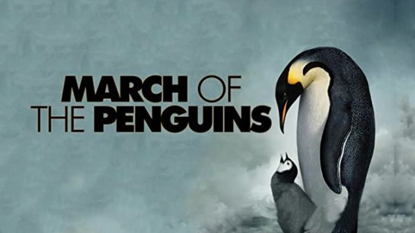 March of the penguins is a nature documentary about penguins and their babies.