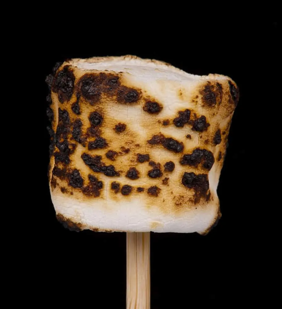 marshmallows are the glue in a s'mores sandwich.