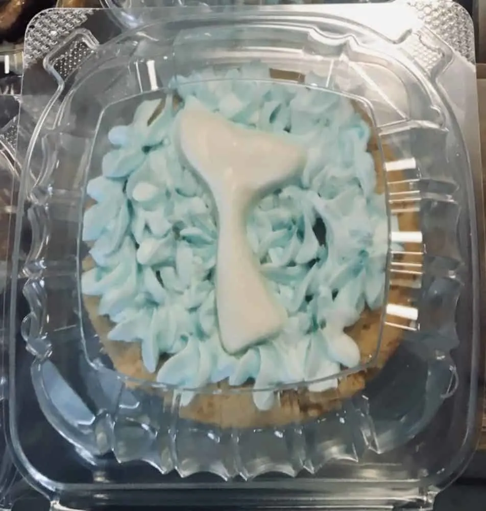 a whale tale cookie with blue icing at southern grind.