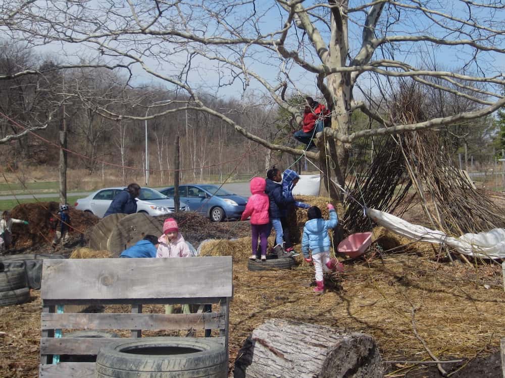 Kids climbing trees and building things at the ithaca children's garden in the finger lakes
