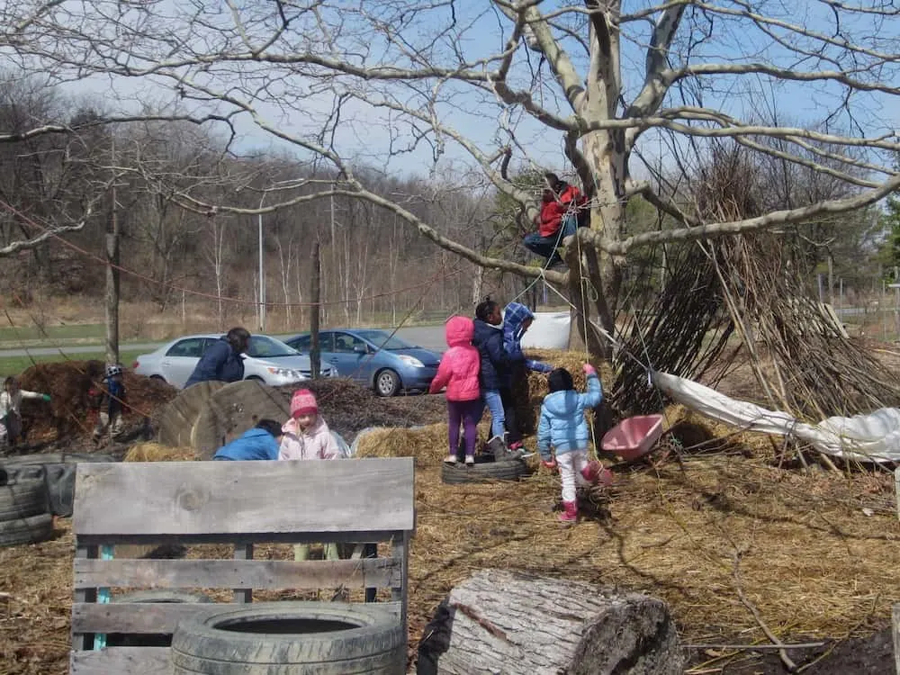 kids climbing trees and building things at the ithaca children's garden in the finger lakes