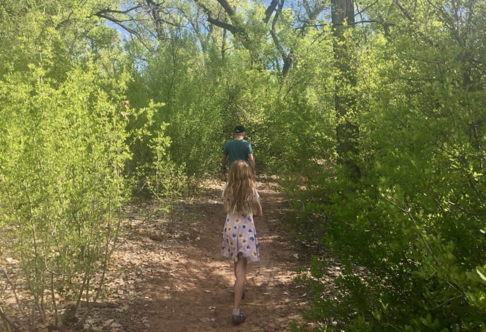 exploring a woodsy side trail off of the paseo de bosque in albuquerque