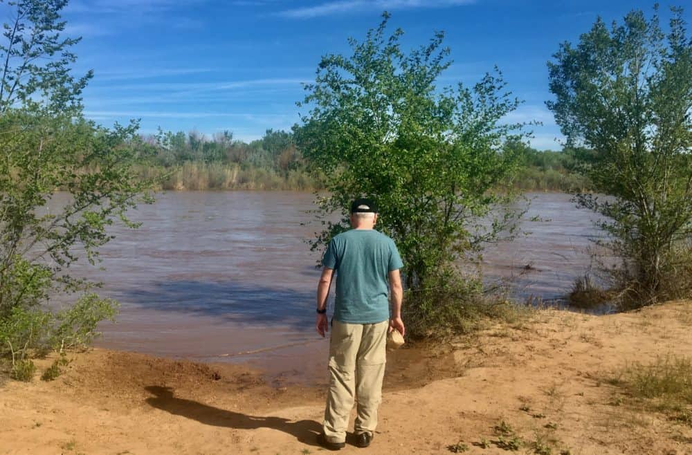 Looking at the rio grande off of the paseo de bosque trail