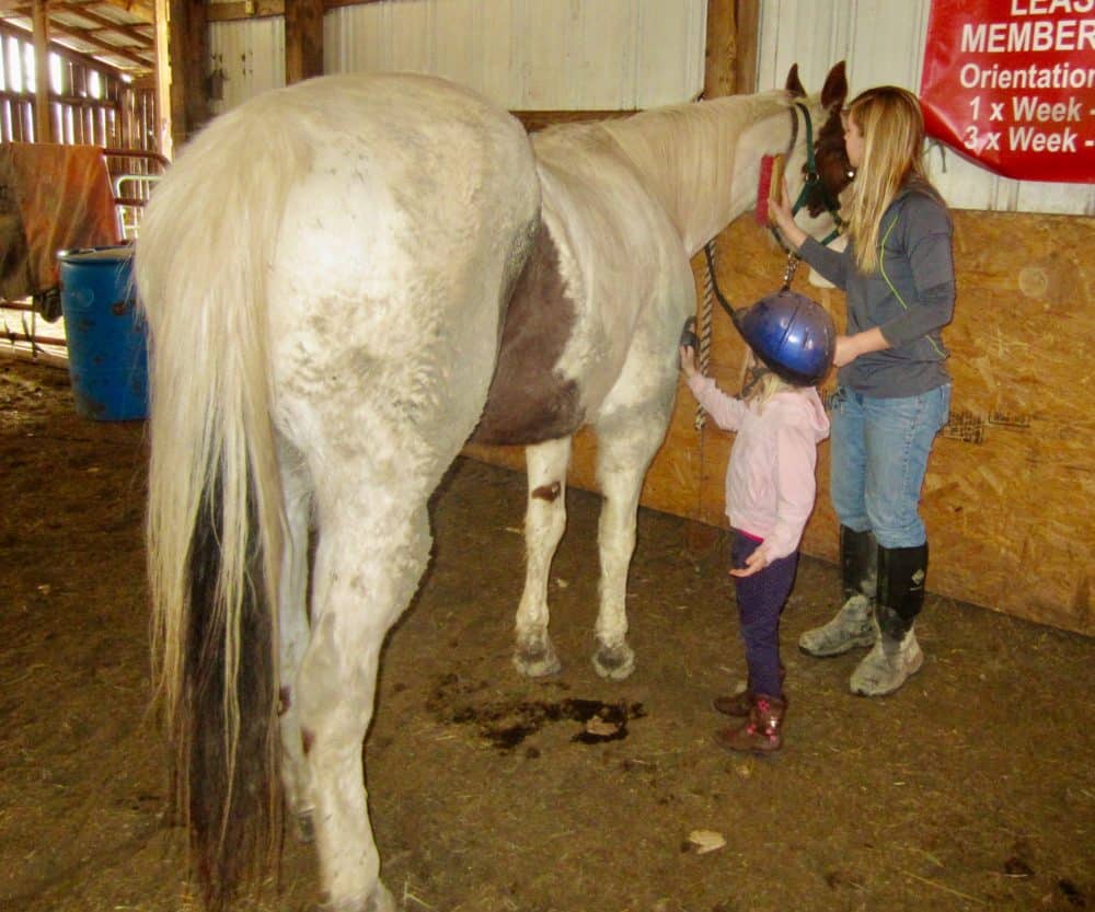 A young girl and a woman groom at horse at the painted bar stables in watkins glen