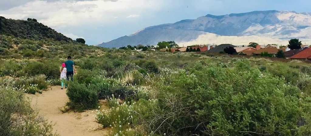 Exploring Albuquerque With A Tween