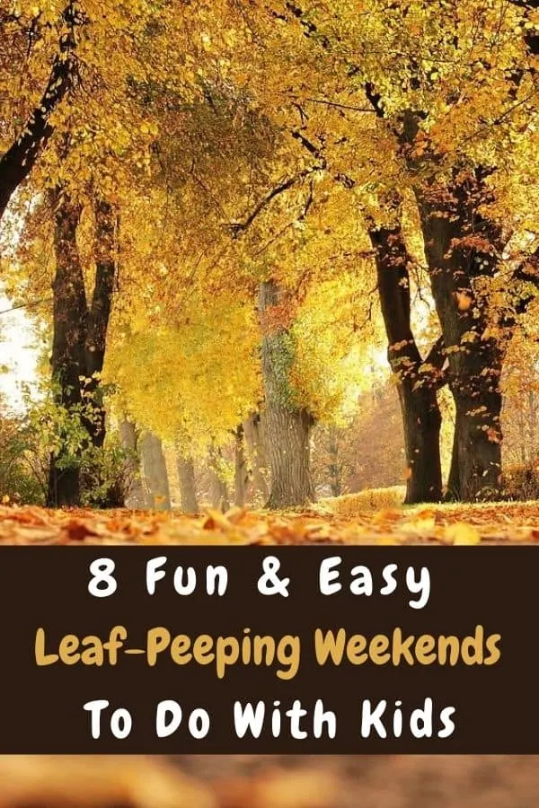 8 Places To Enjoy Spectacular Fall Foliage With Kids 8 kid-friendly weekend getaways in new england and the mid-atlantic, for fall foliage and other seasonal fun.