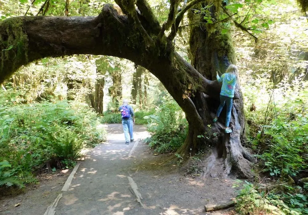 Here's Why My Family Loved Olympic National Park Hohtrailtree