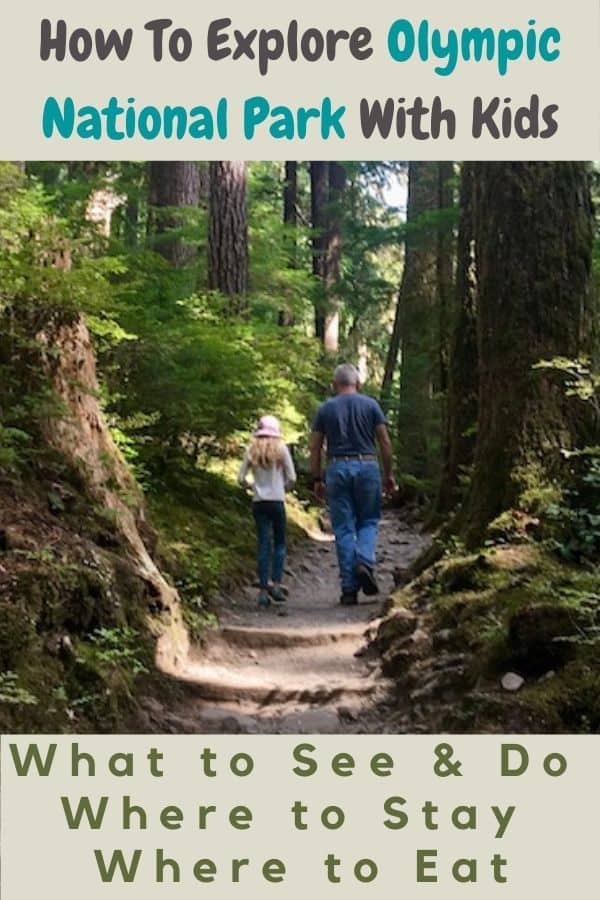 our best planning tips and advice for visiting olympic national park with kids and tweens. fun hikes, tide pools, hot springs & more. plus lodging and restaurant ideas.