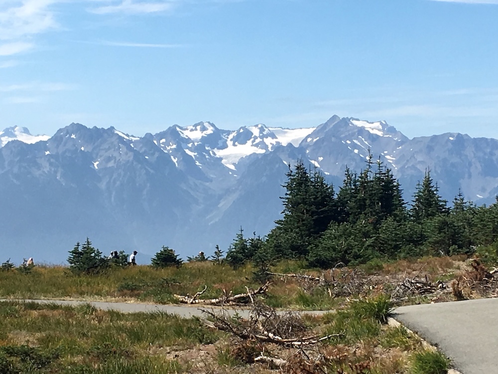 The cirque rim and big meadow hikes on offer an accessible paved path and stellar mountain views from hurricane ridge.