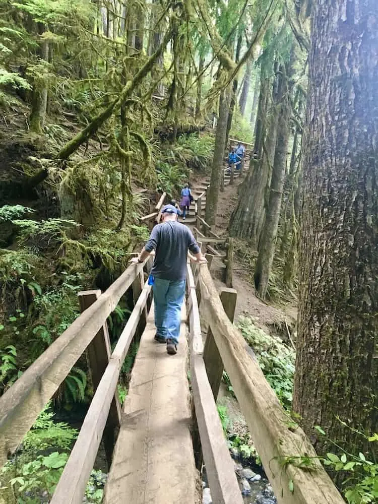 a wooden bridge leading to a steps in the woods on a hiking trail.