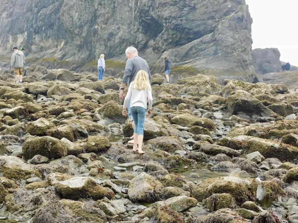 Here's Why My Family Loved Olympic National Park Olympictidepool