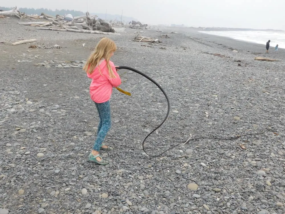 a tween plays with a long piece of seaweed on rialto beach in washington.