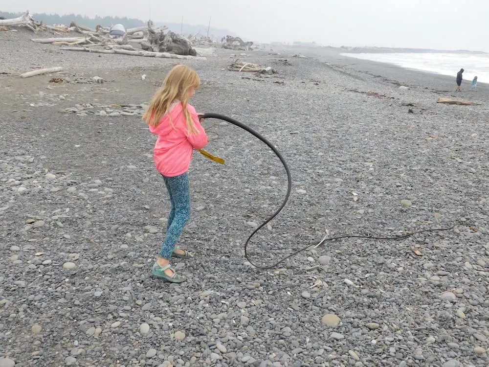 Here's Why My Family Loved Olympic National Park A tween plays with a long piece of seaweed on rialto beach in washington.